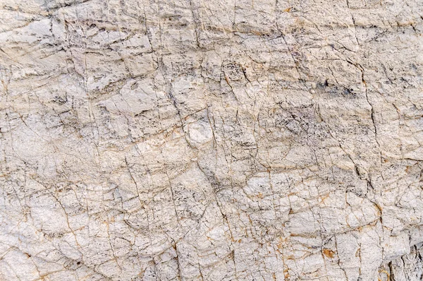 Текстура морського каменю, текстура тла — стокове фото