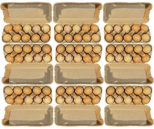 Nine carton packages, brown eggs in a carton package isolated on white