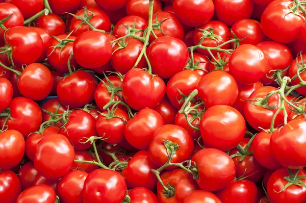 En massa röda mogna körsbärstomater på marknaden på solig dag, närbild — Stockfoto