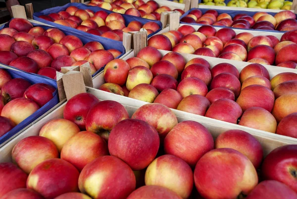 Delicious red apples in supermarket — Stock Photo, Image