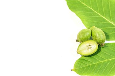 Bir yeşil ceviz yaprakları ve iki tüm ceviz ile beyaz arka plan üzerinde kesmek