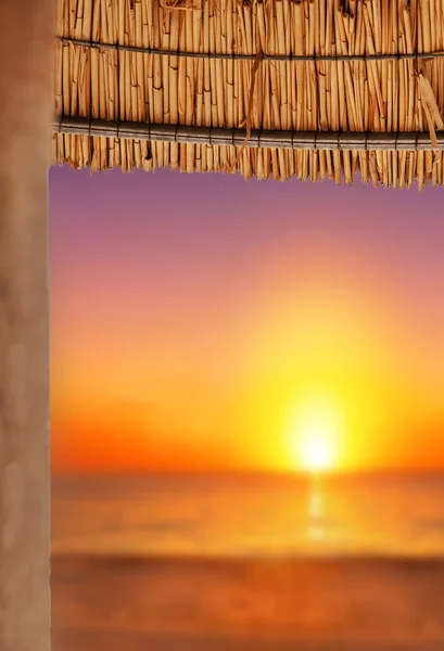 Sombrillas de caña de playa en la playa — Foto de Stock