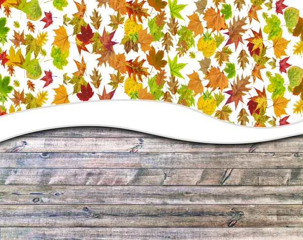 Autumn abstract floral background — Stock Photo, Image