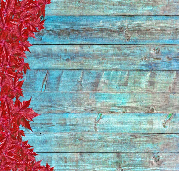Fondo de otoño con tablero de madera azul y hojas rojas —  Fotos de Stock