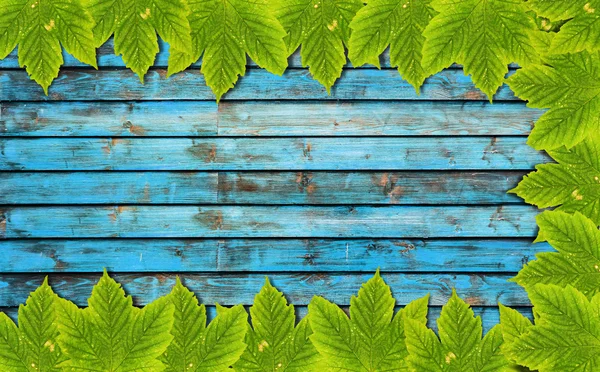 Fondo otoñal con hojas de color sobre tabla de madera azul — Foto de Stock