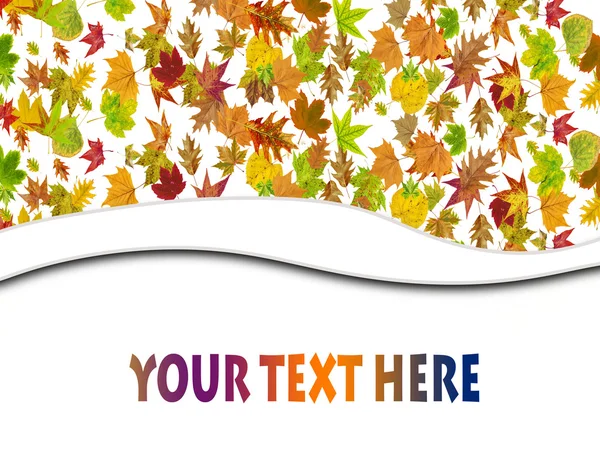 Herbst abstrakten floralen Hintergrund mit Platz für Ihren Text — Stockfoto