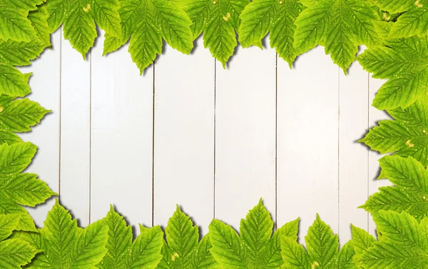 Fondo otoñal con hojas de color sobre tabla de madera blanca — Foto de Stock