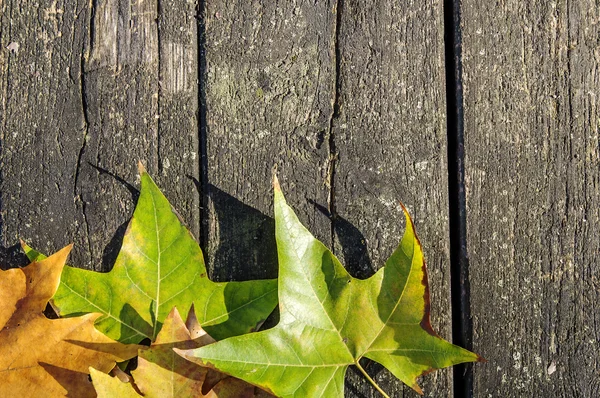 木製のテーブルに紅葉と秋の背景 — ストック写真