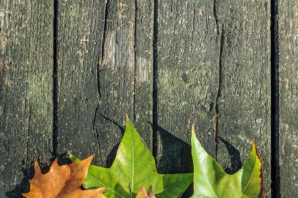 Podzimní pozadí s barevnými listy na dřevěný stůl — Stock fotografie