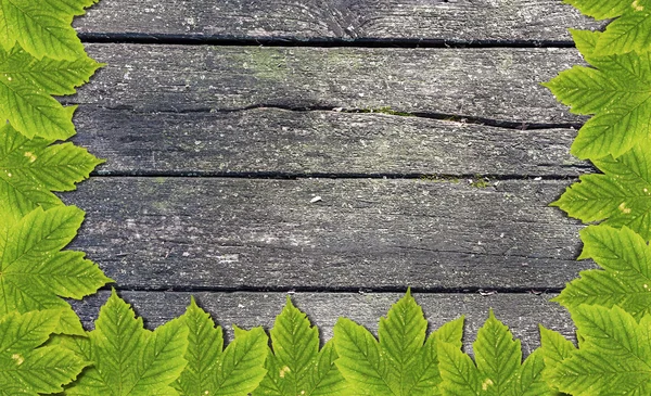 Fondo otoñal con hojas de colores sobre tabla de madera vieja — Foto de Stock
