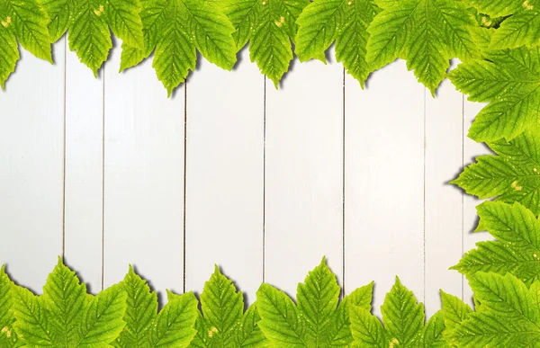 Fondo otoñal con hojas de color sobre tabla de madera blanca — Foto de Stock