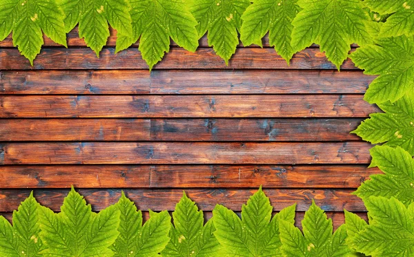 Fondo otoñal con hojas verdes sobre tabla de madera — Foto de Stock