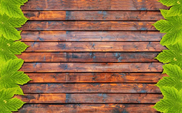 Latar belakang musim gugur dengan daun hijau di papan kayu — Stok Foto