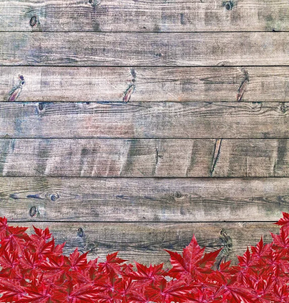 Fondo de otoño con fondo de madera y hojas rojas — Foto de Stock