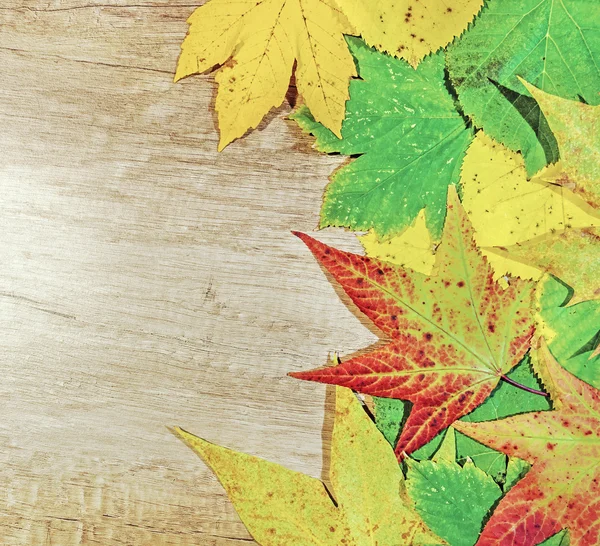 木製の背景に大きな緑葉と紅葉 — ストック写真