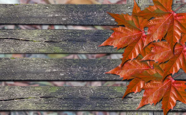 コピー スペースを木製のベンチに紅葉します。 — ストック写真