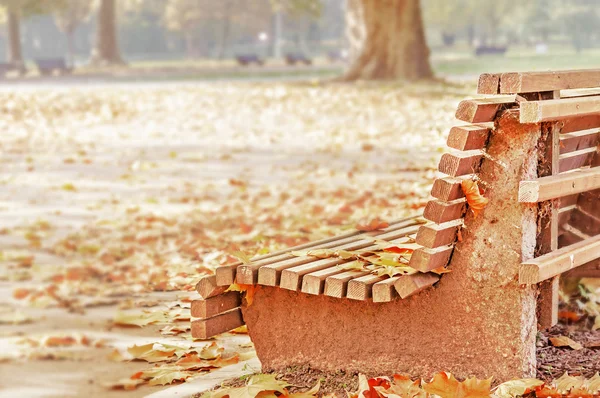 Bank en maple in stadspark in het najaar — Stockfoto