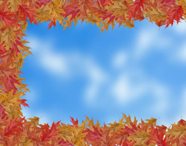 Mevsimlik gökyüzü arka plan üzerinde kopya alanı ile sınır çerçeve renkli düşen akçaağaç yaprakları — Stok fotoğraf