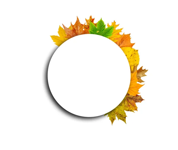 Circle with autumn leaves around isolated on white — Stock Photo, Image