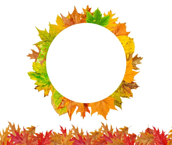 Circle with autumn leaves around isolated on white — Stock Photo, Image