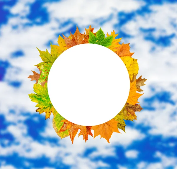 Circle with autumn leaves around on blue sky blurred background