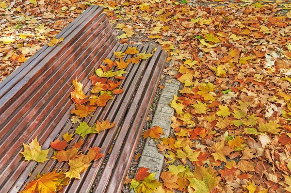 Bunte Blätter überall auf der Bank im Herbstpark, Herbstblätter Hintergrund — Stockfoto