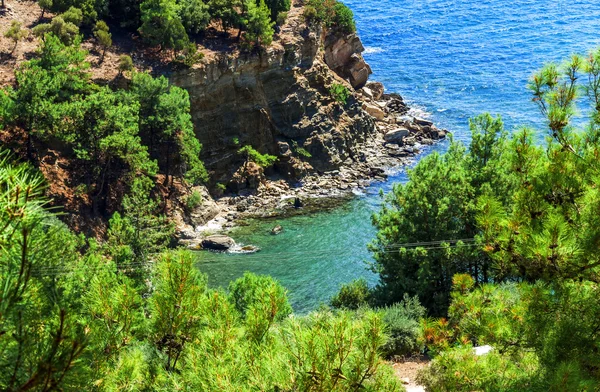 Hermosa vista del bosque verde y el mar azul en Grecia, Tasos —  Fotos de Stock