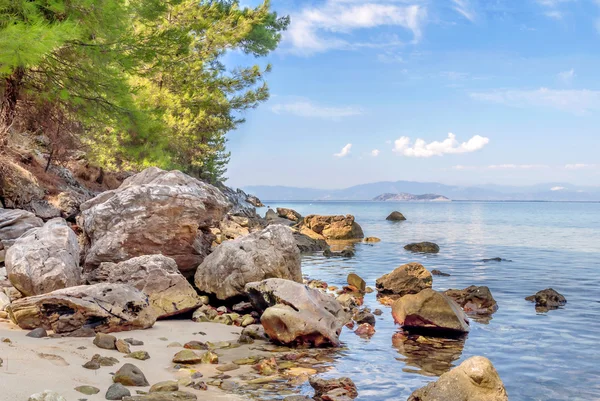 Fondo natural con mar verde, árbol y bosque —  Fotos de Stock