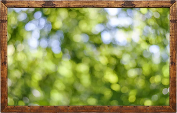 Фоторамка на фоне зеленого леса боке — стоковое фото