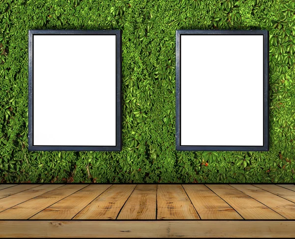 Dos grandes carteles en blanco unidos a una pared de hiedra con piso de madera —  Fotos de Stock