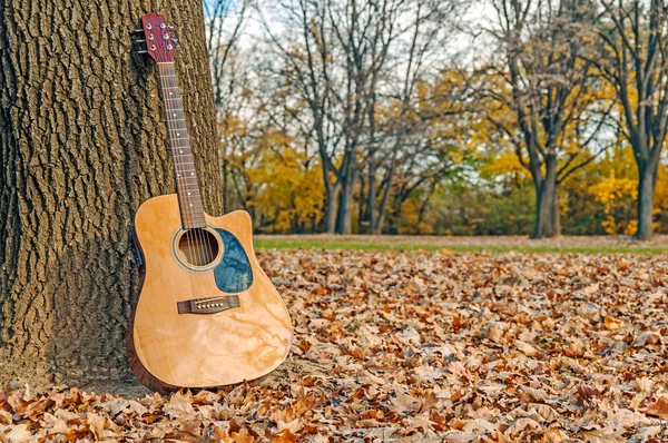 Guitar leaning on a tree in autumn park on cloudy day — Stock Photo, Image