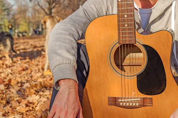 Young man sitting in autumn park on leaves and holding guitar — Stock Photo, Image