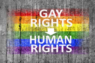 Eşcinsel hakları olan insan hakları ve Lgbt bayrak arka plan doku gri üzerine beton boyalı