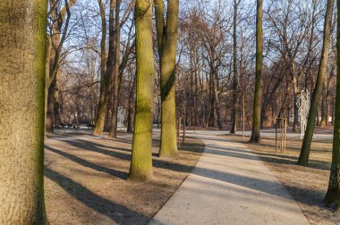 Şehir Park çok ağaç ve yolu ile taş yolu