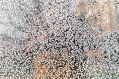 Bulanık karlı cam pencere arka plan