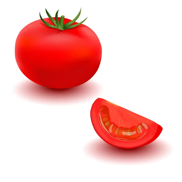 Tomate. Illustration réaliste . — Image vectorielle