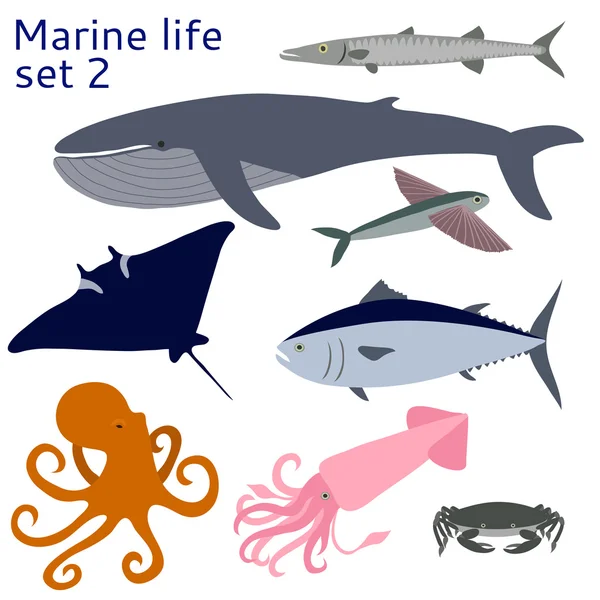 Fish and other marine life — Stock Vector