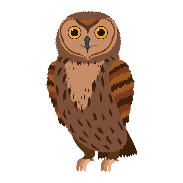 Owl.Forest πουλί. Vector εικονογράφηση. — Διανυσματικό Αρχείο