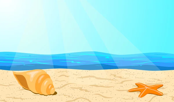 Seashell e Starfish na praia . — Vetor de Stock