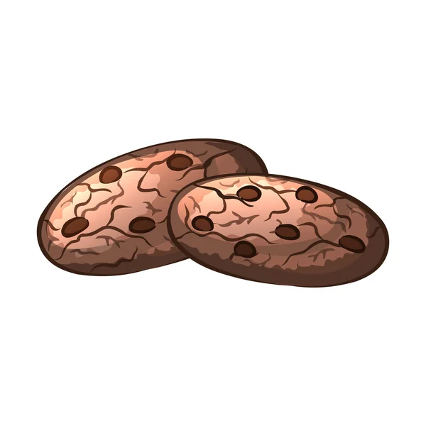 Biscuits aux pépites de chocolat aux noix. — Image vectorielle