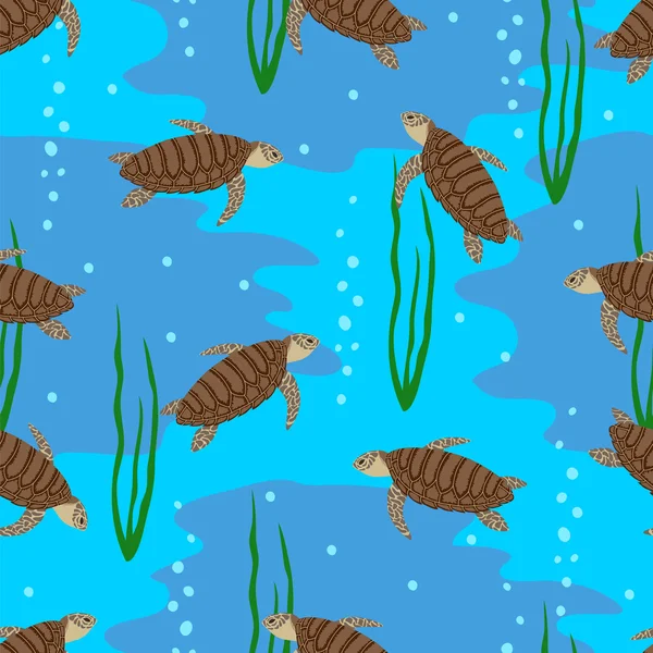 Deniz kaplumbağaları ve okyanus deniz yosunu. — Stok Vektör