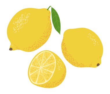 Olgun sarı limonların vektör çizimi