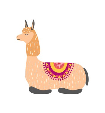 Beyaz arka planda sevimli Lama