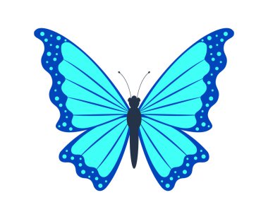 Mavi bir kelebeğin vektör çizimi