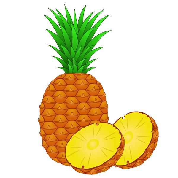 Pineapple Isolated White Background — Stock Vector