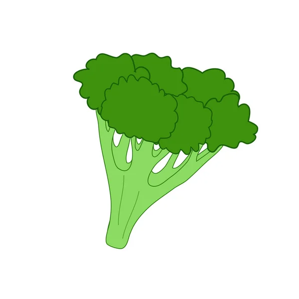 Ikon Brokoli Dalam Gaya Kartun Diisolasi Pada Latar Belakang Putih - Stok Vektor