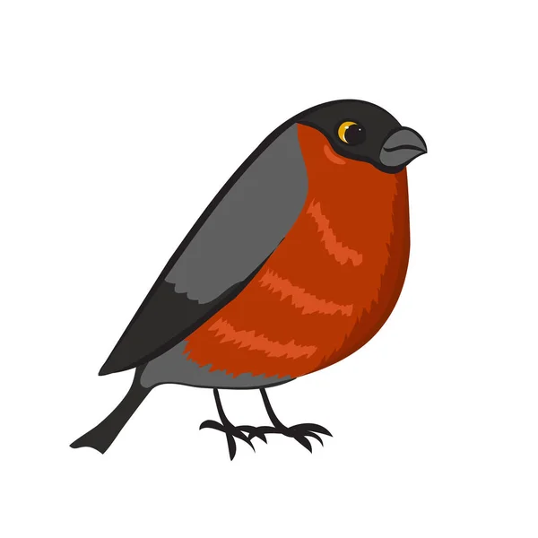 Vektorová Ilustrace Roztomilého Ptáka — Stockový vektor