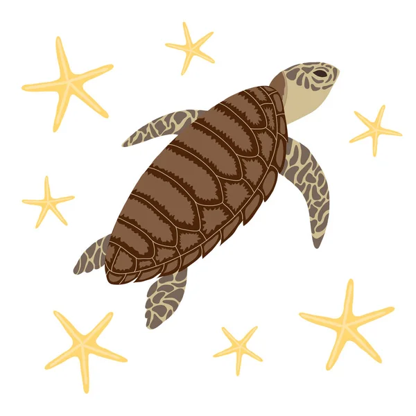 Kaplumbağa Deniz Balıklarının Vektör Çizimi — Stok Vektör