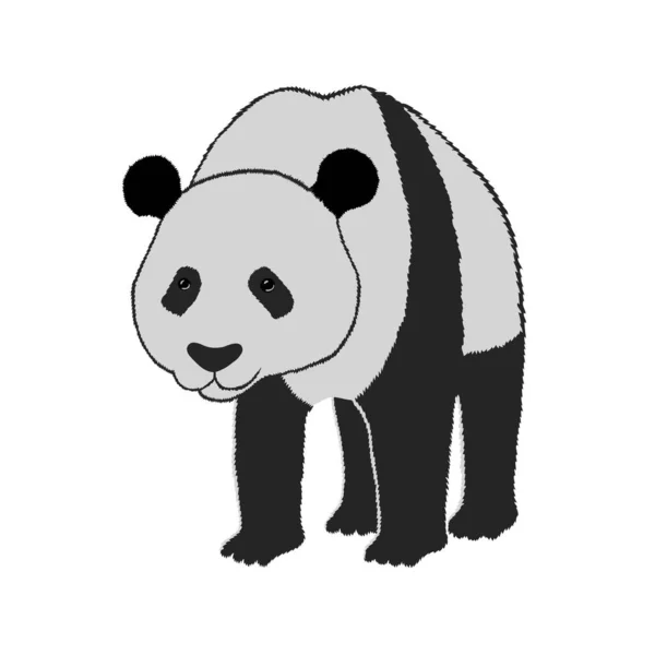 Cute Panda Icon Vector Illustration Graphic Design — Stock Vector