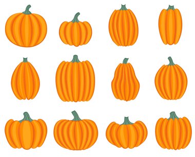 beyaz arkaplan vektör illüstrasyonunda kabaklar izole